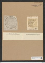 Pseudauliscus elaboratus (Ralfs.) Rattr. (de-Toni-Nr.: Genus 172, Species 4422) Zeichnungen Sammlung Grunow Nr. 7981 (NHMW-BOT-W0377273)
